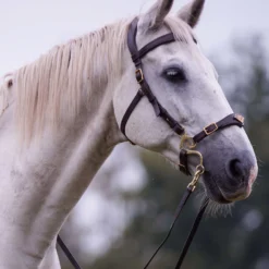 F.R.A. Imperial Hackamore Zaum, Shire -Weatherbeeta Shop 340177 BR 2