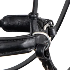 F.R.A. Alizée Mistral Gebissloser Zaum -Weatherbeeta Shop 340183 BL BL 3