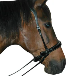 F.R.A. Alizée Mistral Gebissloser Zaum -Weatherbeeta Shop 340183 BL BL 4