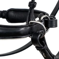 F.R.A. Alizée Mistral Gebissloser Zaum -Weatherbeeta Shop 340183 BL WH 4