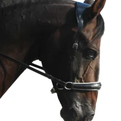 F.R.A. Alizée Mistral Gebissloser Zaum -Weatherbeeta Shop 340183 BL WH 5