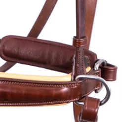 F.R.A. Alizée Mistral Gebissloser Zaum -Weatherbeeta Shop 340183 DBR 3