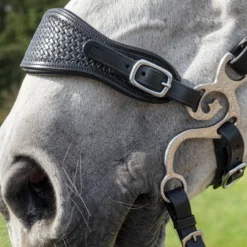 F.R.A. Barco Hackamore Anzüge, 150mm -Weatherbeeta Shop 340188 SS 2