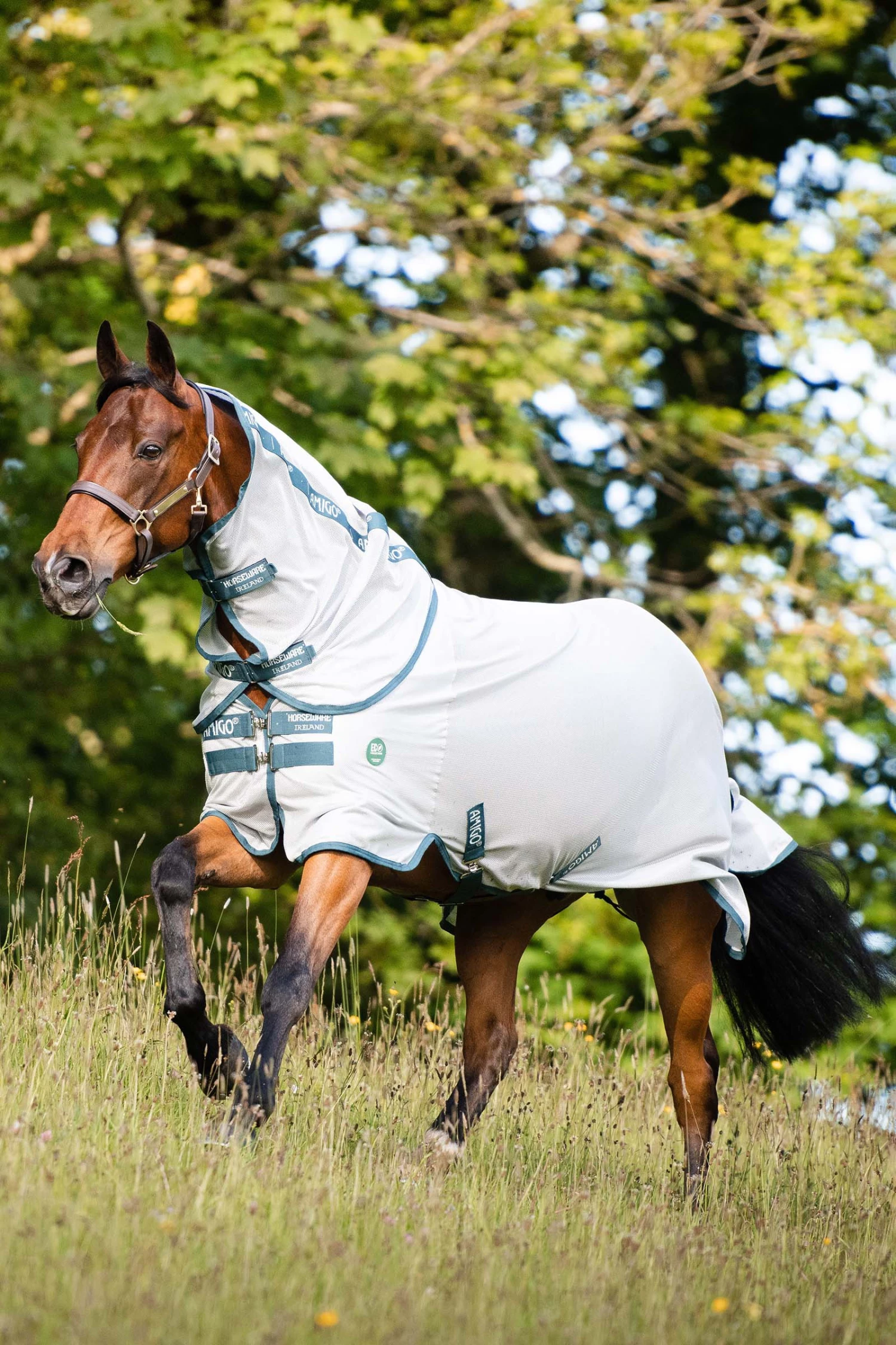 Horseware AmEco Bug Rug Fliegendecke 3 Horseware AmEco Bug Rug Fliegendecke