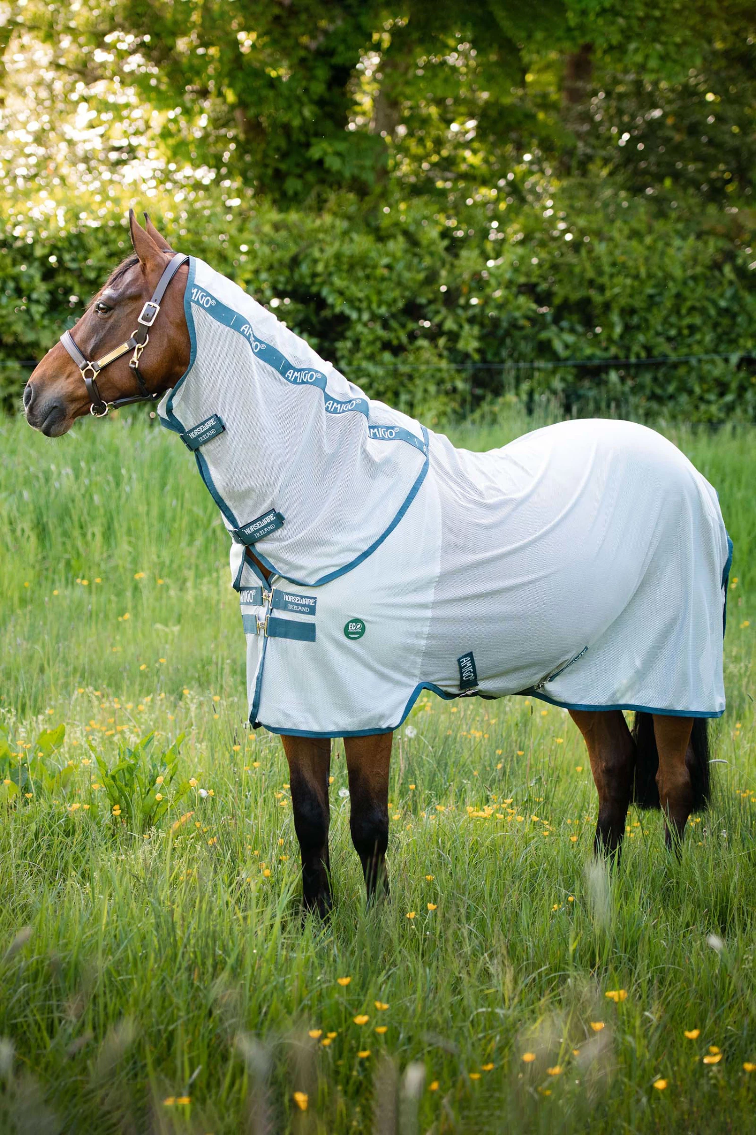 Horseware AmEco Bug Rug Fliegendecke 4 Horseware AmEco Bug Rug Fliegendecke – Bild 2