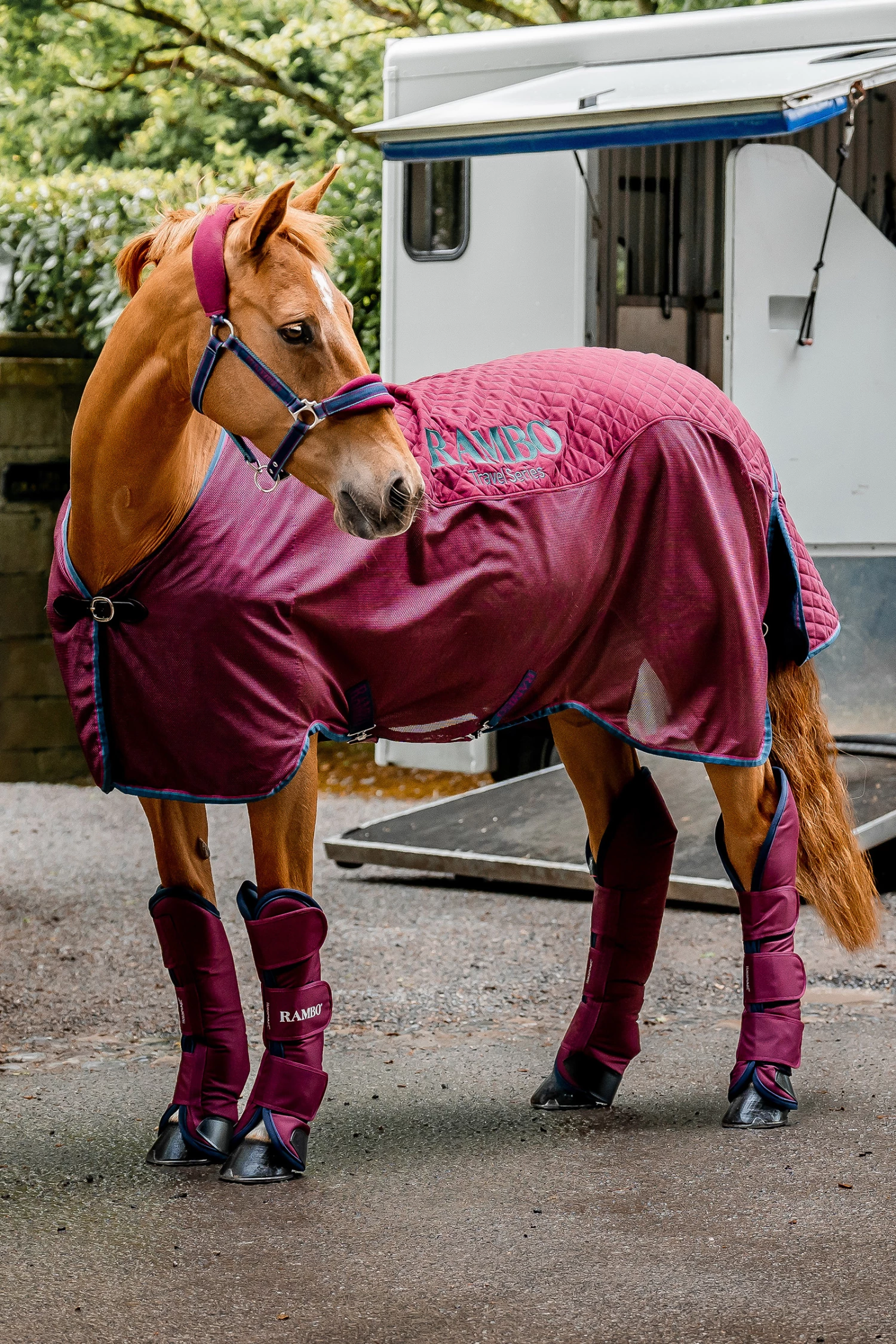 Horseware Rambo Travel Series Transportdecke, 50g 9 Horseware Rambo Travel Series Transportdecke, 50g – Bild 7