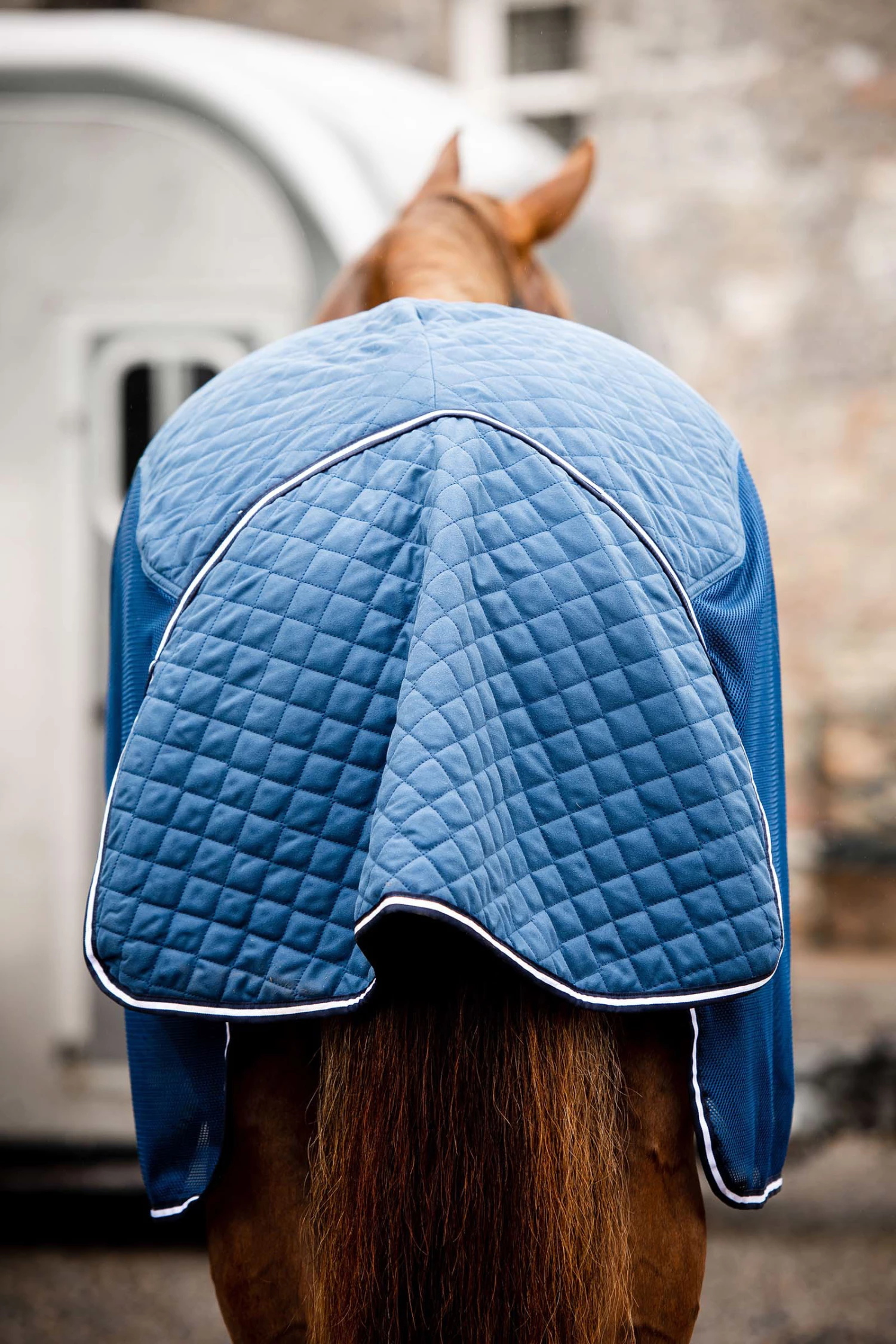 Horseware Rambo Travel Series Transportdecke, 50g 7 Horseware Rambo Travel Series Transportdecke, 50g – Bild 5