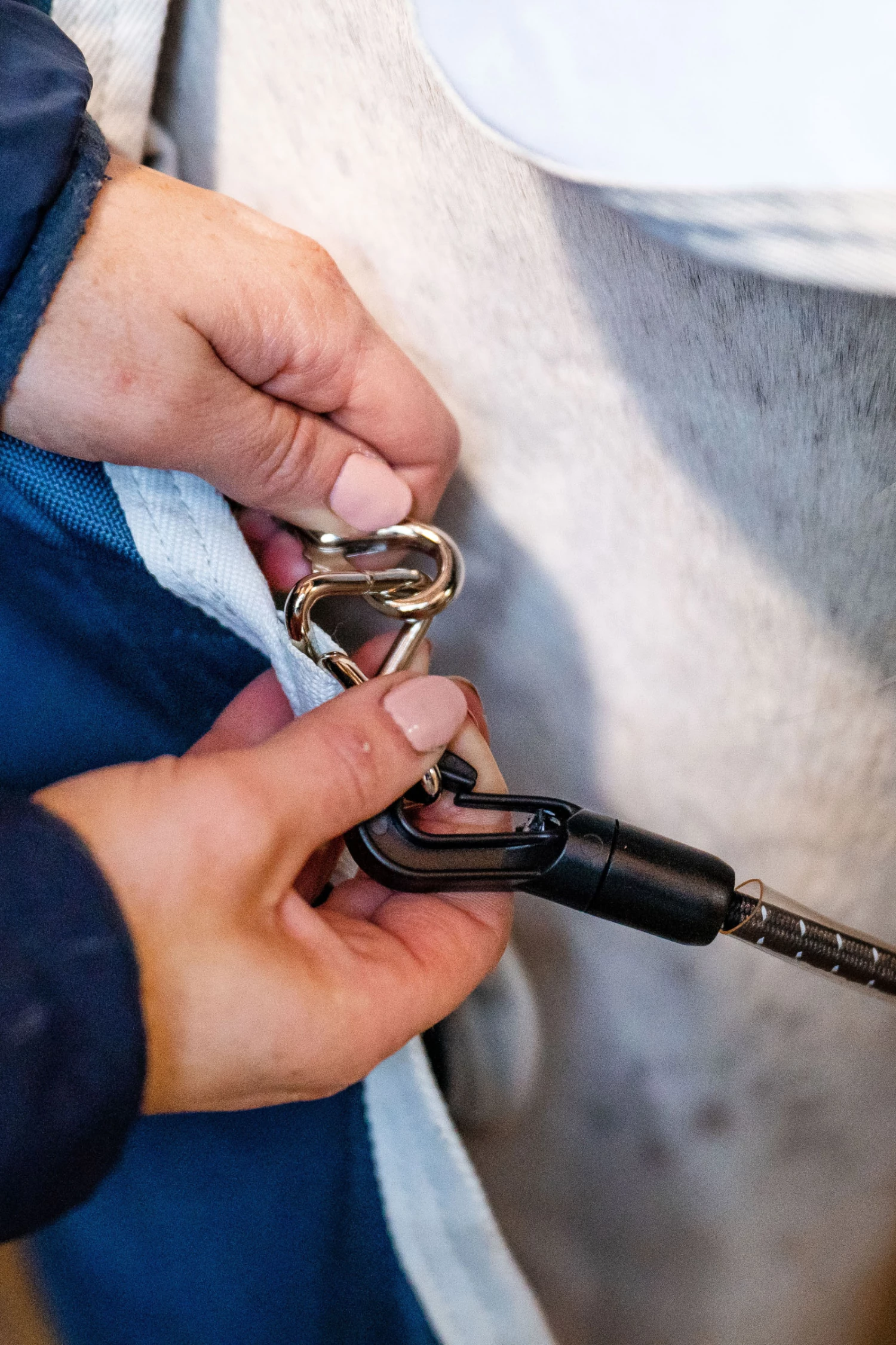 Horseware Eco Liner, 300g 9 Horseware Eco Liner, 300g – Bild 7