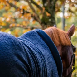 Horseware Embossed Cosy Neck Abschwitzdecke -Weatherbeeta Shop 340951 DB BU 7