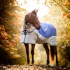 Horseware Rambo Autumn Series -Weatherbeeta Shop 340954 DB G 1