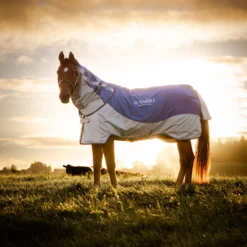 Horseware Rambo Autumn Series 16 Horseware Rambo Autumn Series -Weatherbeeta Shop 340954 DB G 2