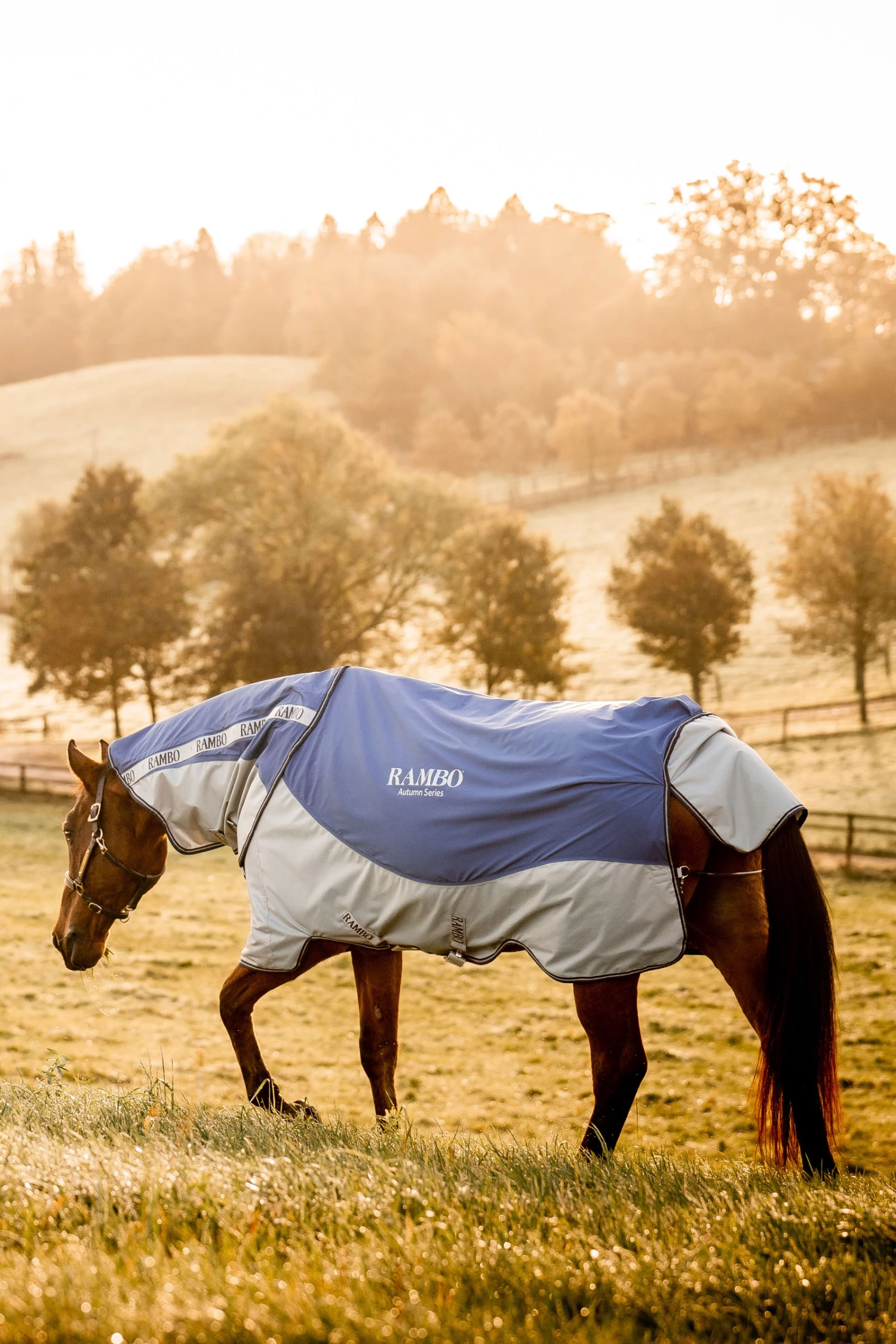 Horseware Rambo Autumn Series 7 Horseware Rambo Autumn Series – Bild 5
