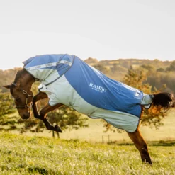 Horseware Rambo Autumn Series 18 Horseware Rambo Autumn Series -Weatherbeeta Shop 340954 DB G 4