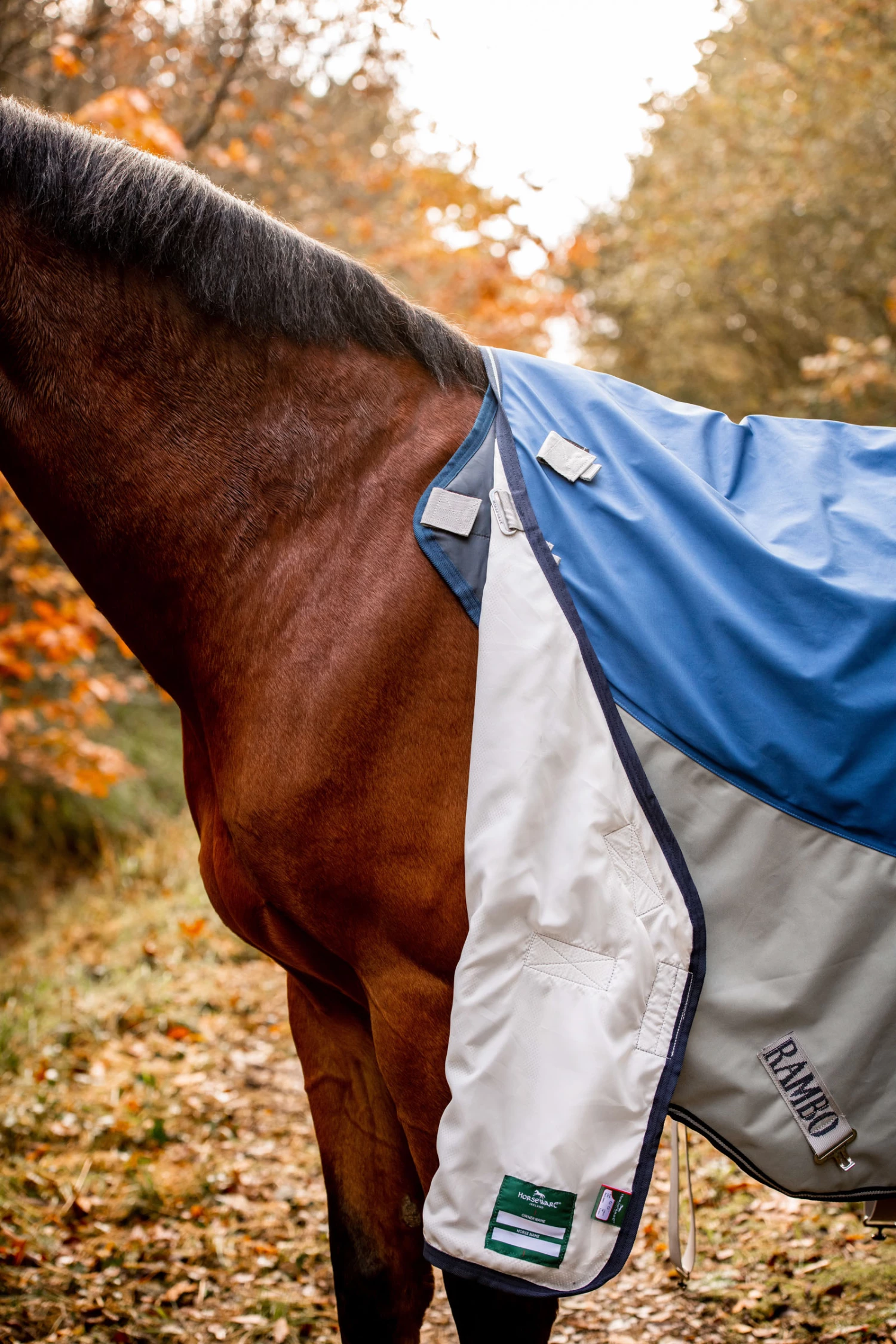 Horseware Rambo Autumn Series 10 Horseware Rambo Autumn Series – Bild 8