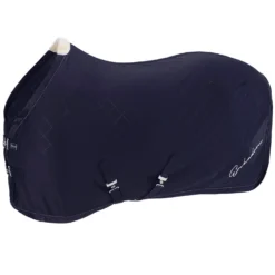 Eskadron Classic Sports FS22 Aerial Jersey Abschwitzdecke