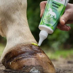 Zedan Kronrand Balsam Huf Aufbau, Hufe, 100ml -Weatherbeeta Shop 341545 NCO 3