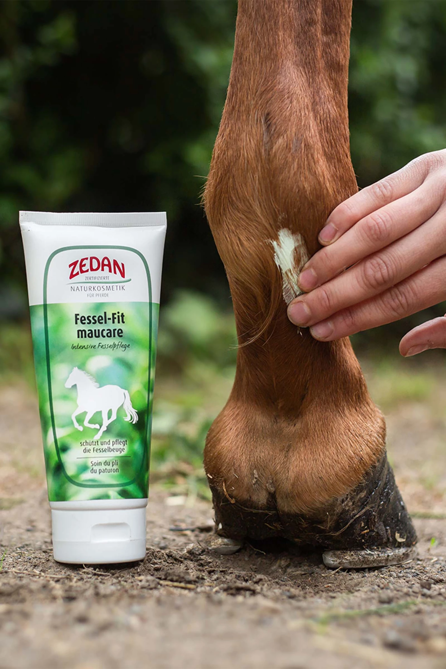 Zedan Fessel-Fit Maucare, Mauke, 200ml 4 Zedan Fessel-Fit Maucare, Mauke, 200ml – Bild 2