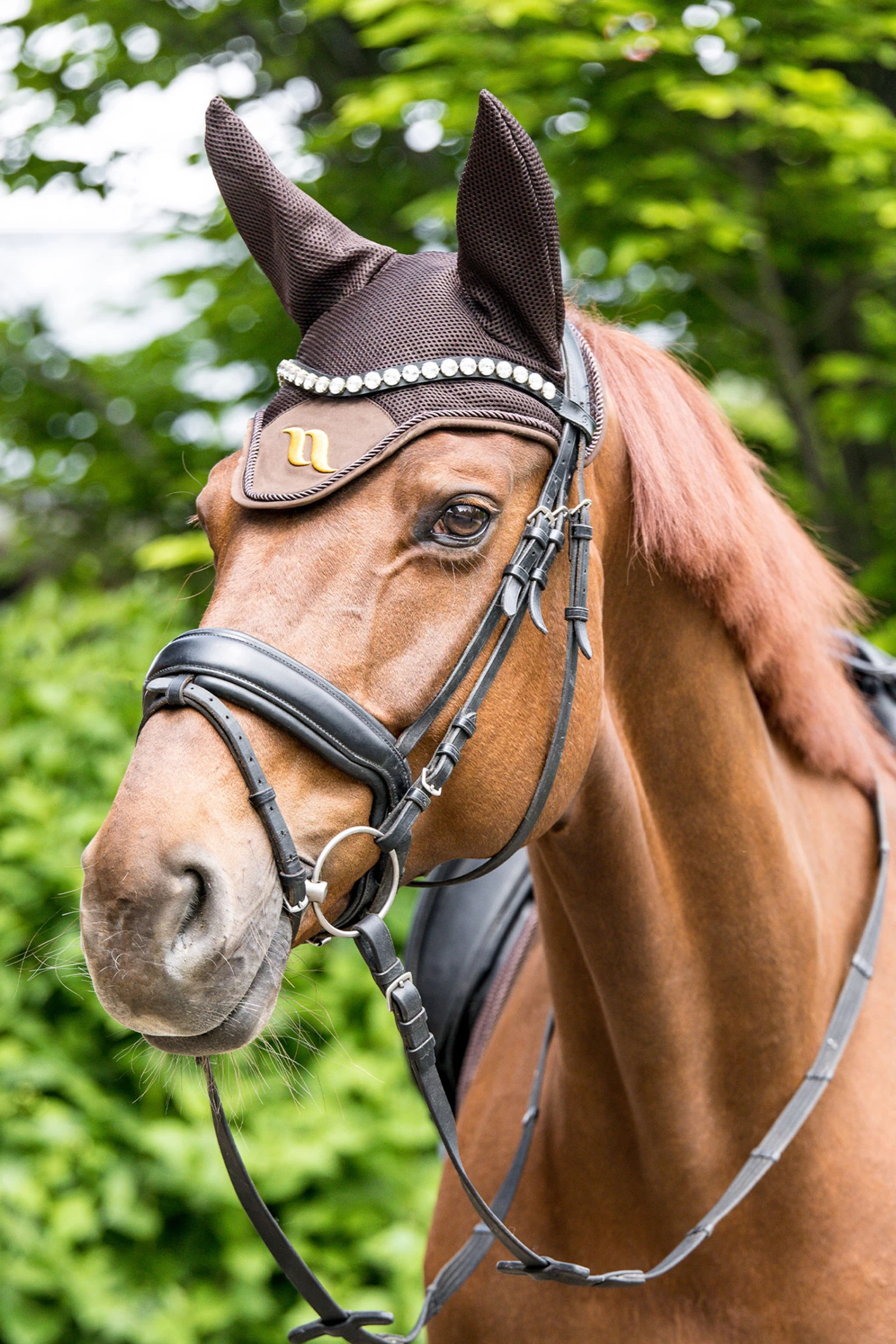 Back On Track Airflow Fliegenhaube 9 Back On Track Airflow Fliegenhaube – Bild 7