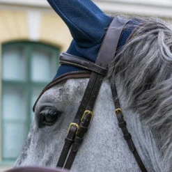 Back On Track Airflow Fliegenhaube 13 Back On Track Airflow Fliegenhaube -Weatherbeeta Shop 342171 B 3