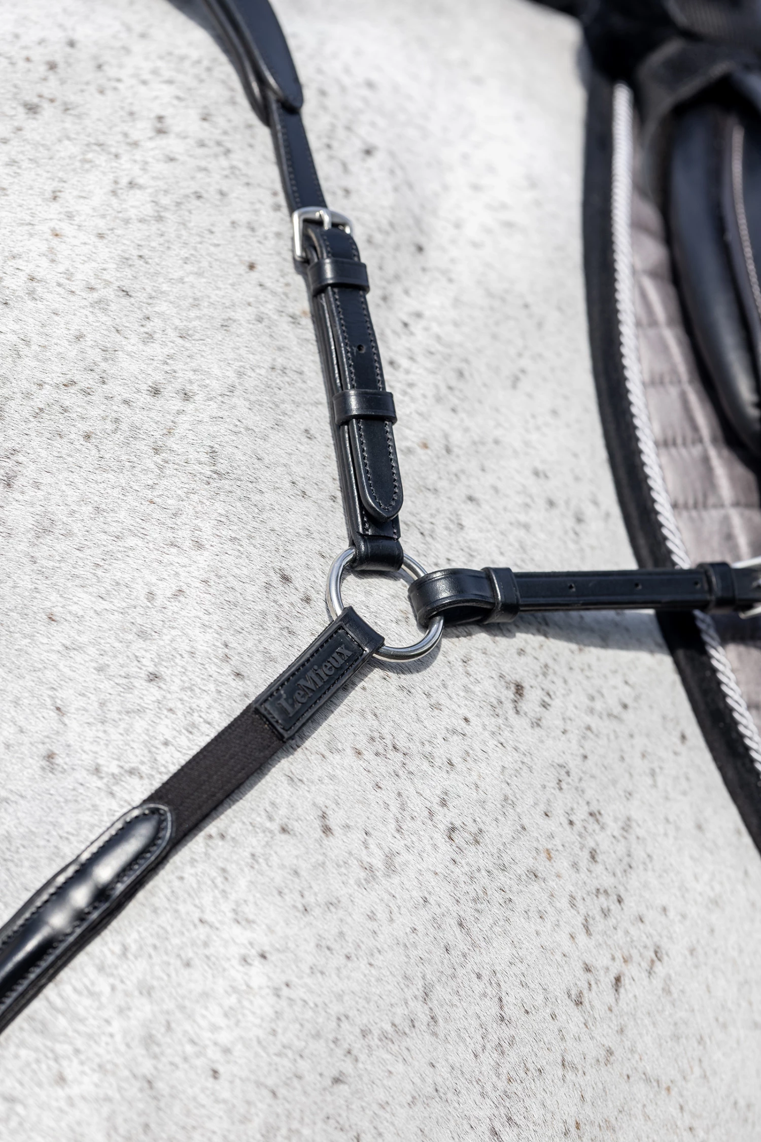 LeMieux Vorderzeug Mit Abnehmbarem Martingal 5 LeMieux Vorderzeug Mit Abnehmbarem Martingal – Bild 3