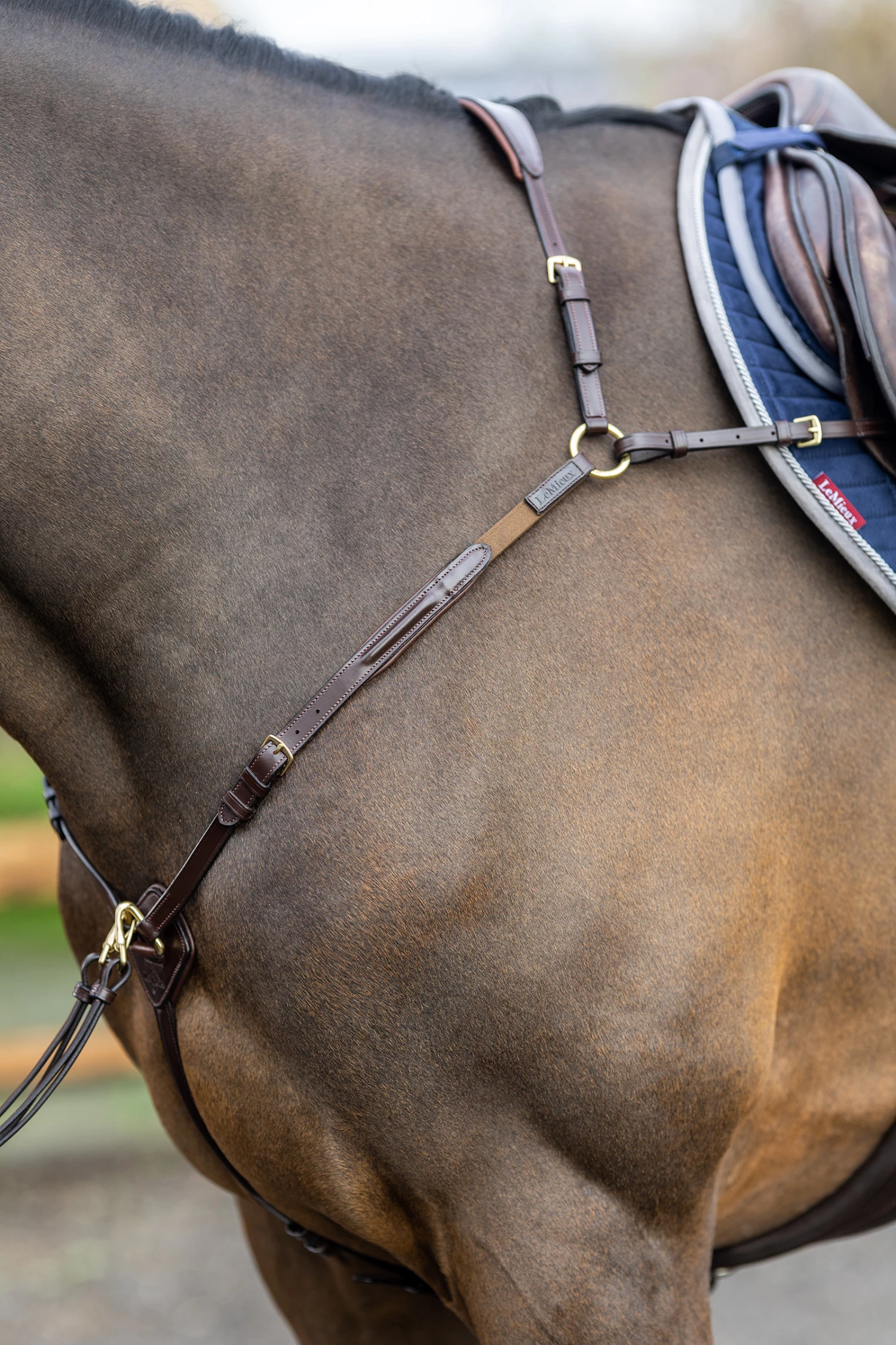 LeMieux Vorderzeug Mit Abnehmbarem Martingal 9 LeMieux Vorderzeug Mit Abnehmbarem Martingal – Bild 7