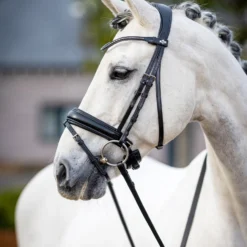 LeMieux Classic Dressurtrense