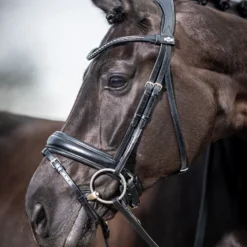 LeMieux Classic Dressurtrense -Weatherbeeta Shop 342209 BL 3