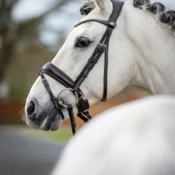LeMieux Classic Dressurtrense -Weatherbeeta Shop 342209 HVBR 2