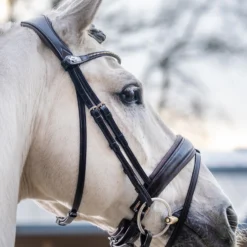 LeMieux Classic Dressurtrense -Weatherbeeta Shop 342209 HVBR 3