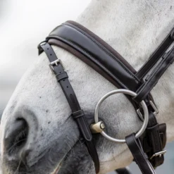 LeMieux Classic Dressurtrense -Weatherbeeta Shop 342209 HVBR 5
