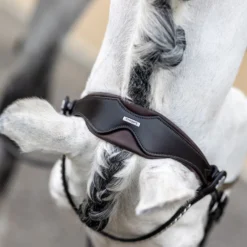 LeMieux Classic Dressurtrense -Weatherbeeta Shop 342209 HVBR 6