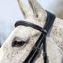 LeMieux Competiton Trensenzaum 13 LeMieux Competiton Trensenzaum -Weatherbeeta Shop 342210 BL 3