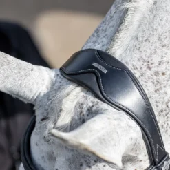LeMieux Competiton Trensenzaum 14 LeMieux Competiton Trensenzaum -Weatherbeeta Shop 342210 BL 4