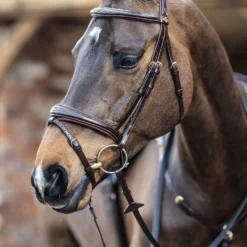 LeMieux Competiton Trensenzaum 15 LeMieux Competiton Trensenzaum -Weatherbeeta Shop 342210 HVBR 1