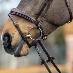 LeMieux Competiton Trensenzaum 17 LeMieux Competiton Trensenzaum -Weatherbeeta Shop 342210 HVBR 3
