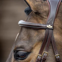 LeMieux Competiton Trensenzaum 18 LeMieux Competiton Trensenzaum -Weatherbeeta Shop 342210 HVBR 4