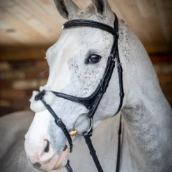 LeMieux Mexikanische Trense 11 LeMieux Mexikanische Trense -Weatherbeeta Shop 342214 BL 2