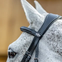 LeMieux Mexikanische Trense 12 LeMieux Mexikanische Trense -Weatherbeeta Shop 342214 BL 3