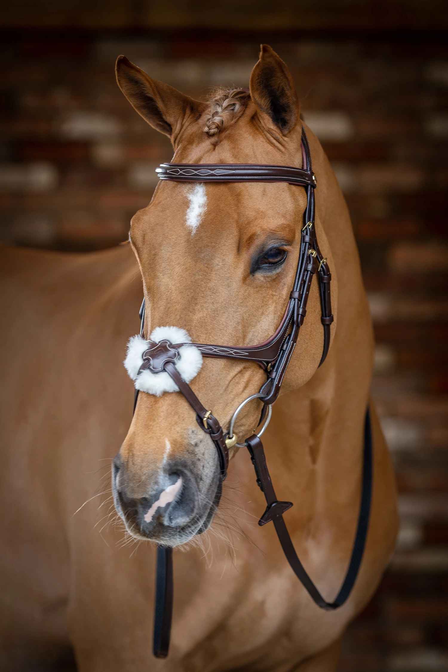 LeMieux Mexikanische Trense 6 LeMieux Mexikanische Trense – Bild 4