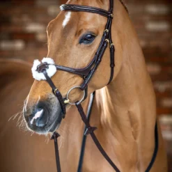 LeMieux Mexikanische Trense 14 LeMieux Mexikanische Trense -Weatherbeeta Shop 342214 HVBR 2