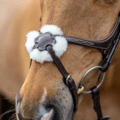 LeMieux Mexikanische Trense 16 LeMieux Mexikanische Trense -Weatherbeeta Shop 342214 HVBR 4