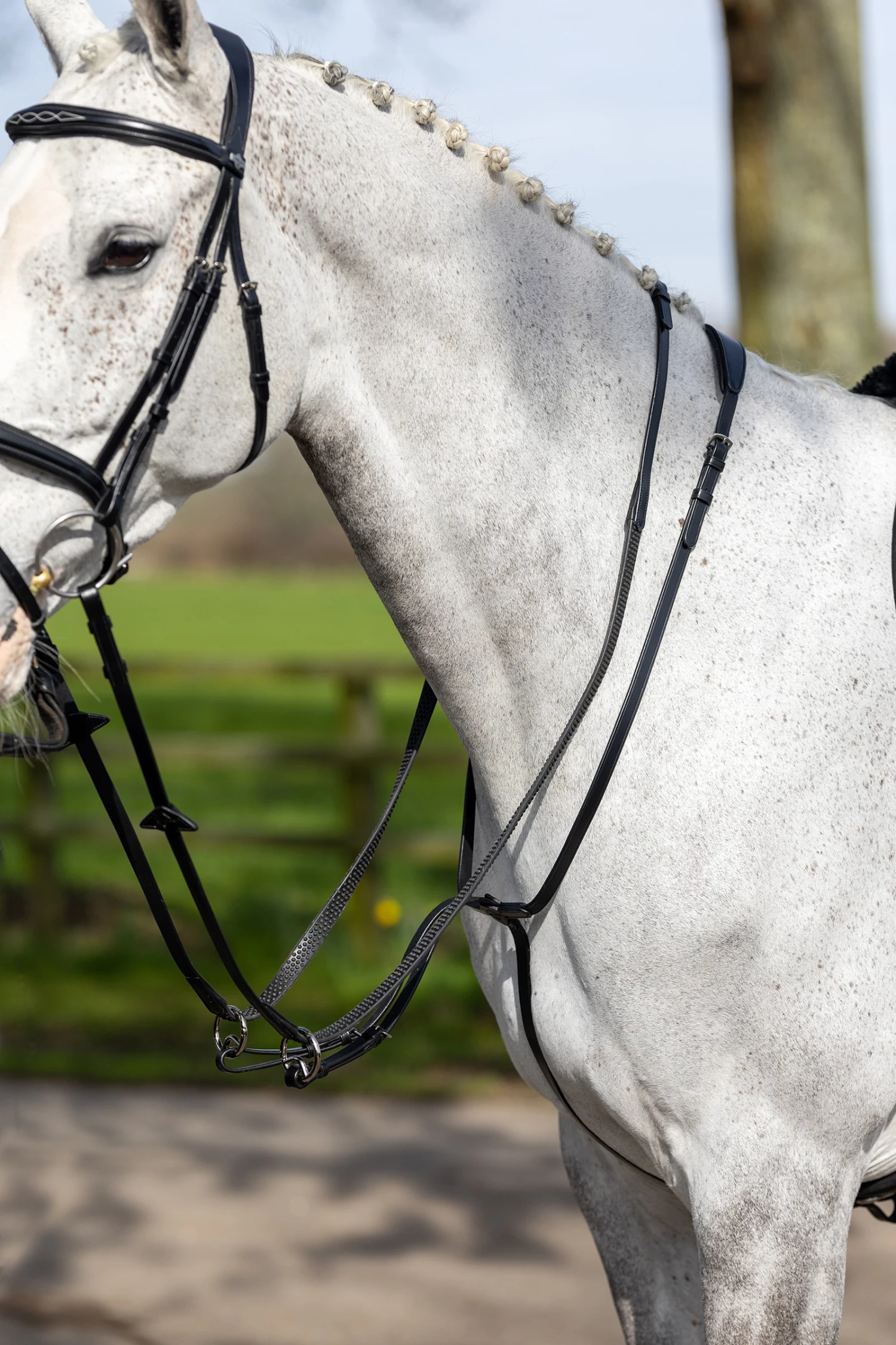 LeMieux Ringmartingal 8 LeMieux Ringmartingal – Bild 6