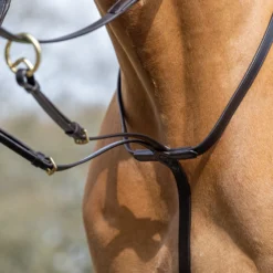 LeMieux Ringmartingal 16 LeMieux Ringmartingal -Weatherbeeta Shop 342217 BR 3