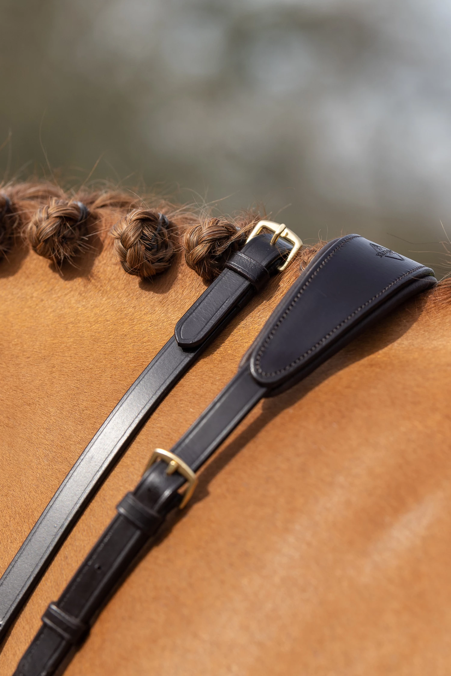 LeMieux Ringmartingal 7 LeMieux Ringmartingal – Bild 5