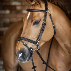 LeMieux Work Trensenzaum -Weatherbeeta Shop 342236 BR 1
