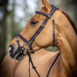 LeMieux Work Trensenzaum -Weatherbeeta Shop 342236 BR 2