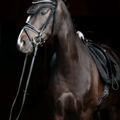 Eskadron Essence 22/23 Glitter Mesh Sport Fliegenhaube -Weatherbeeta Shop 342557 DOGR 2