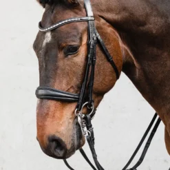 Schockemöhle Milton Anatomische Kandare -Weatherbeeta Shop 343547 BL SI 2