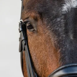 Schockemöhle Milton Anatomische Kandare -Weatherbeeta Shop 343547 BL SI 3