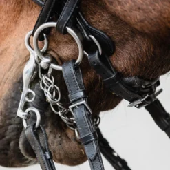 Schockemöhle Milton Anatomische Kandare -Weatherbeeta Shop 343547 BL SI 4